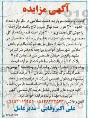آگهی مزایده, مزایده فروش تعداد حدود 200 هزار اصله نهال سرو و کاج ...