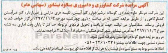 اگهی مزایده , مزایده فروش تعدادی گوساله نر شیرخوار، گاو آبستن ...
