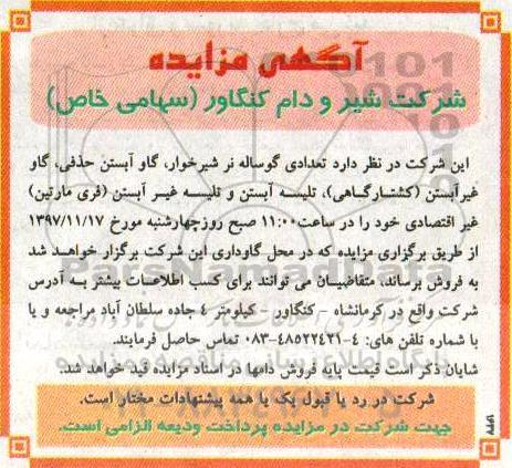 آگهی مزایده , مزایده تعدادی گوساله نر شیرخوار ، گاو آبستن حذفی و ...