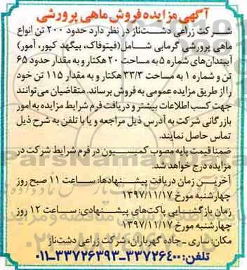 مزایده ,مزایده ماهی پرورشی گرمابی