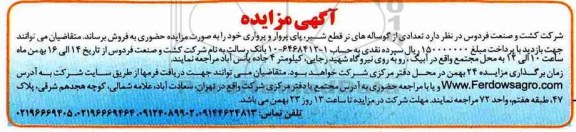 آگهی مزایده, مزایده تعدادی از گوساله های نر قطع شیر، پای پروار و پرواری