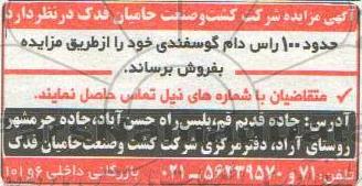 آگهی مزایده, مزایده حدود 100 راس دام گوسفندی