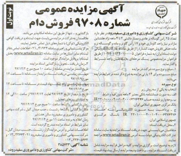 آگهی مزایده عمومی , مزایده تعداد 25 راس گوساله نر عادی و ممتاز