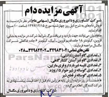 مزایده , مزایده فروش دام