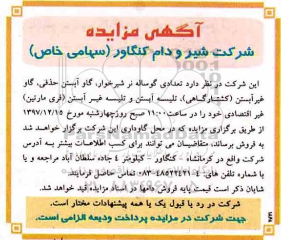 آگهی مزایده , مزایده تعدادی گوساله نر شیرخوار ، گاو آبستن حذفی و ...