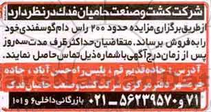 مزایده, مزایده حدود 200 راس دام گوسفندی