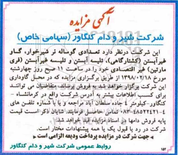 آگهی مزایده , مزایده تعدادی گوساله نر شیرخوار ، گاو غیر آبستن (کشتارگاهی)...