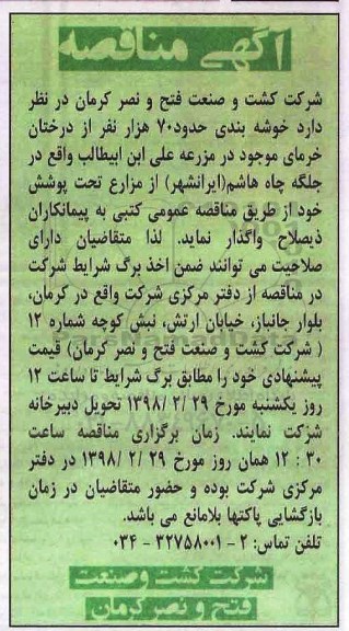 مناقصه مناقصه خوشه بندی حدود 70 هزار نفر از درختان 