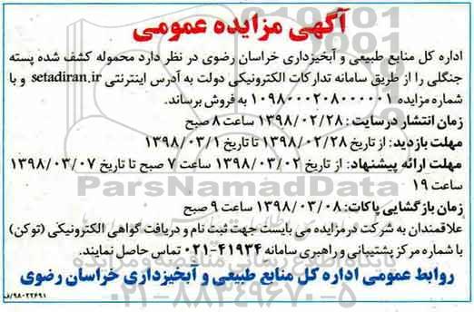 آگهی مزایده عمومی ، مزایده فروش محموله کشف شده پسته جنگلی
