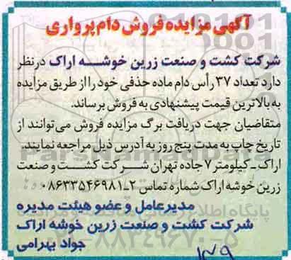 آگهی مزایده , مزایده فروش دام پرواری