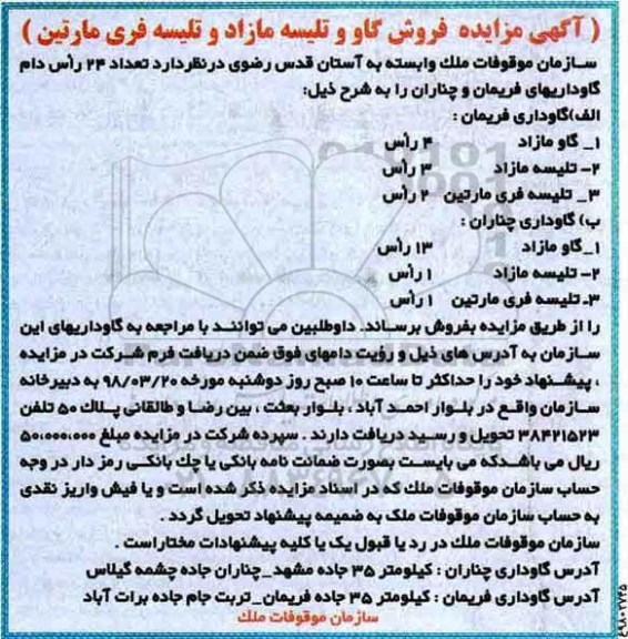 مزایده , مزایده فروش تعداد 24 راس دام