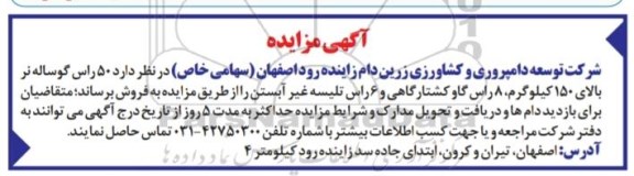 مزایده  ، مزایده  50 راس گوساله 