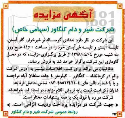 آگهی مزایده , مزایده تعدادی گوساله نر شیرخوار ، گاو آبستن و...