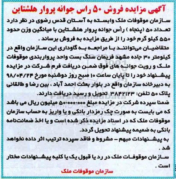 آگهی مزایده , مزایده فروش 50 راس جوانه پروار هلشتاین 