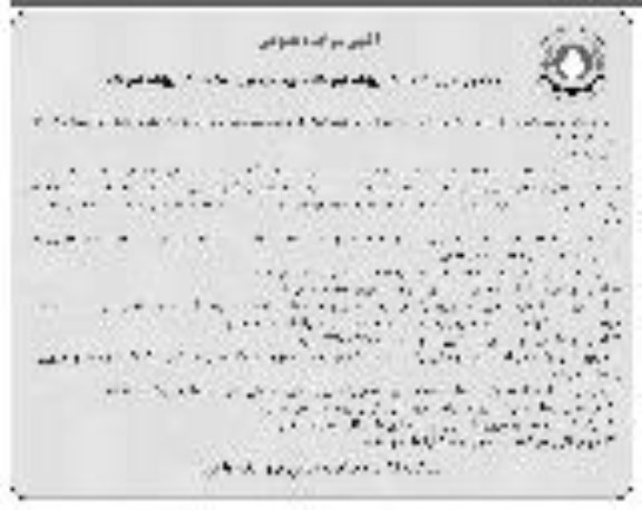 مزایده عمومی, مزایده  فروش حدود  250  راس  گوساله  