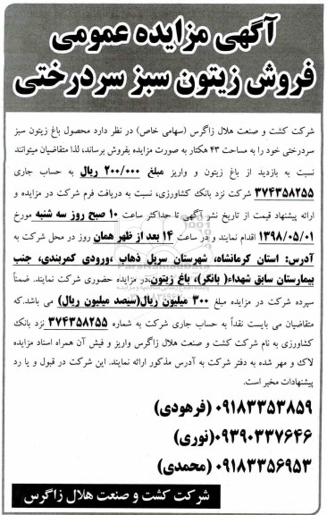 آگهی مزایده عمومی ، مزایده فروش زیتون سبز سردرختی