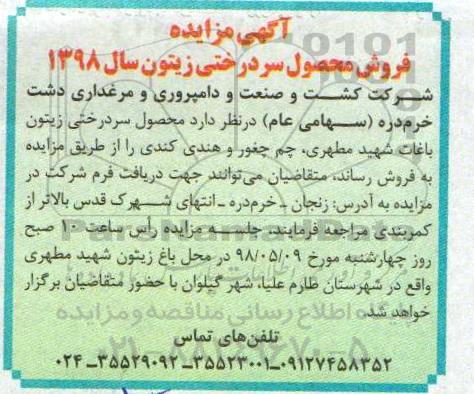 آگهی مزایده, مزایده فروش محصول سردرختی زیتون
