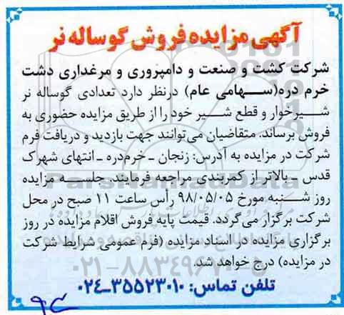 آگهی مزایده, مزایده فروش گوساله نر
