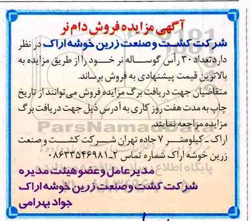 آگهی مزایده , مزایده تعداد 30 راس گوساله نر