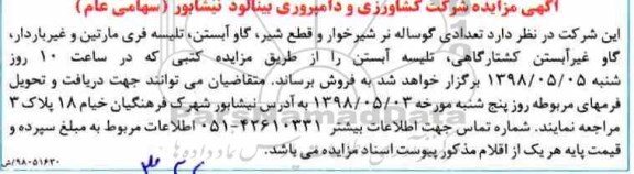 اگهی مزایده , مزایده فروش تعدادی گوساله نر شیرخوار...