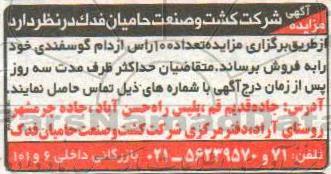 مزایده, مزایده تعداد 100 راس از دام گوسفندی