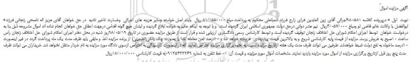 مزایده، مزایده فروش یک خط تلفن همراه
