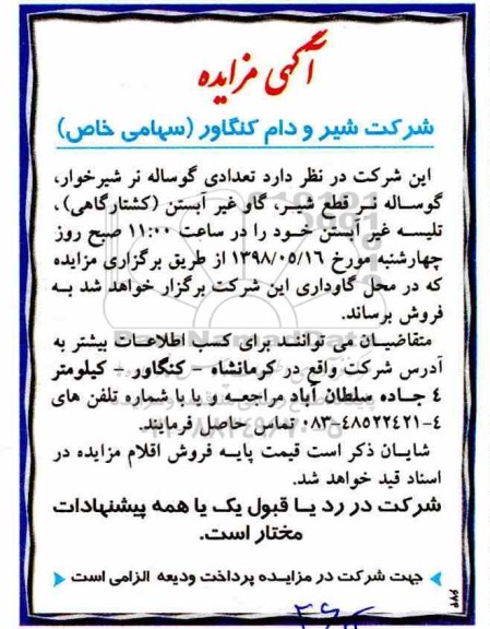آگهی مزایده , مزایده تعدادی گوساله نر شیرخوار و ...