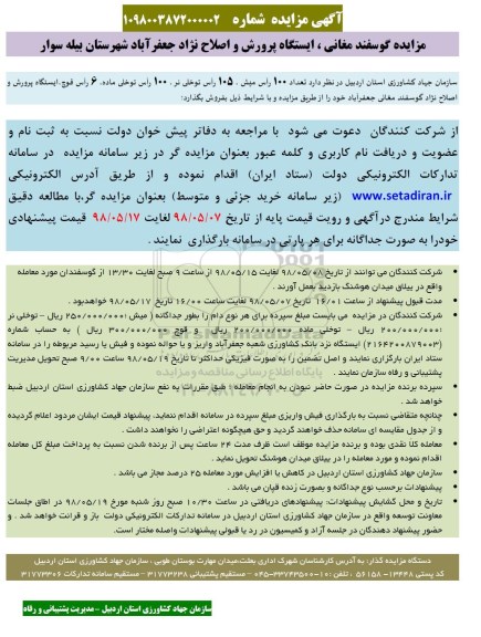 مزایده, مزایده گوسفند...