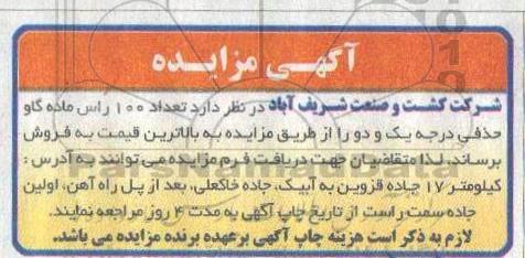 مزایده , مزایده تعداد 100 راس ماده گاو حذفی