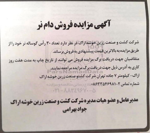 آگهی مزایده , مزایده  تعداد 30 راس  گوساله نر 