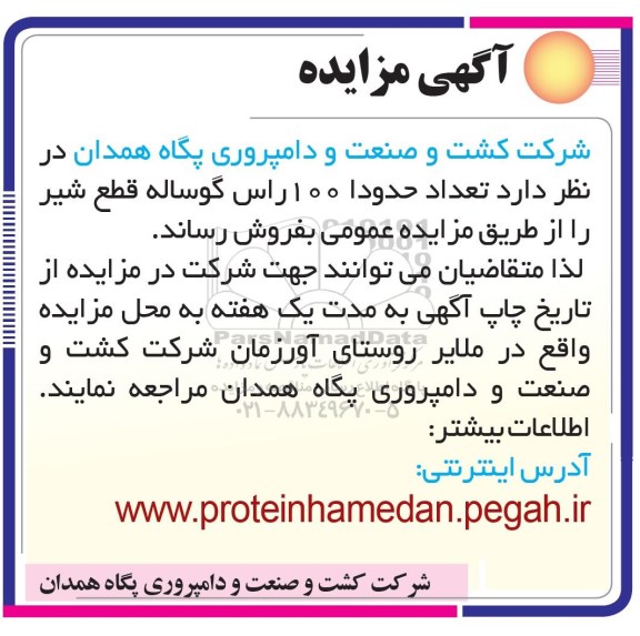 مزایده , مزایده تعداد حدودا 100 راس گوساله قطع شیر