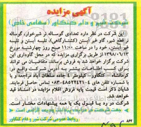 آگهی مزایده , مزایده تعدادی گوساله نر شیرخوار ، گوساله نر قطع شیر...