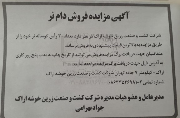 آگهی مزایده , مزایده تعداد 30 راس گوساله نر