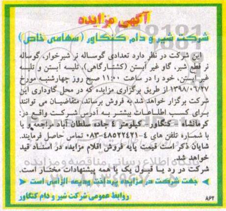 آگهی مزایده , مزایده تعدادی گوساله نر شیرخوار ، گوساله نر قطع شیر...