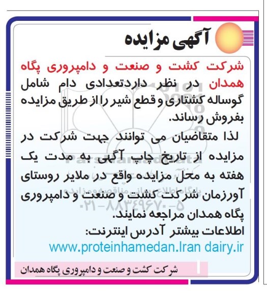 مزایده , مزایده تعدادی دام شامل گوساله کشتاری و قطع شیر 
