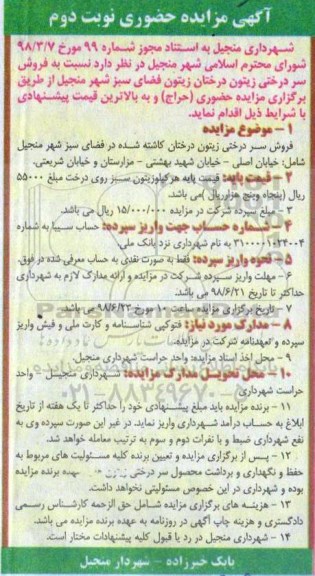 مزایده فروش سر درختی زیتون درختان زیتون فضای سبز 
