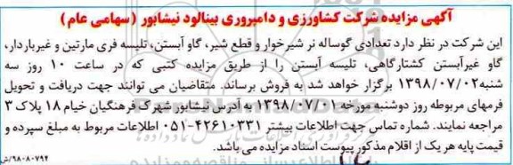 مزایده, مزایده تعدای گوساله نر شیرخوارف و قطع شیر، گاو آبستن