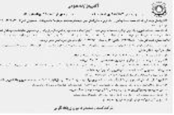 آگهی مزایده عمومی,مزایده  فروش حدود 400 راس گوساله- نوبت دوم 
