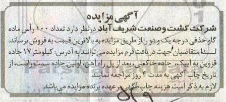 مزایده , مزایده تعداد 100 راس ماده گاو حذفی