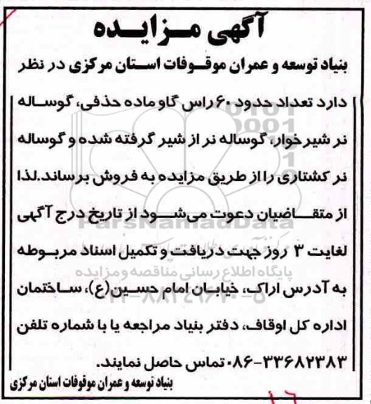 مزایده , مزایده تعداد حدود 60 راس گاو ماده حذفی....