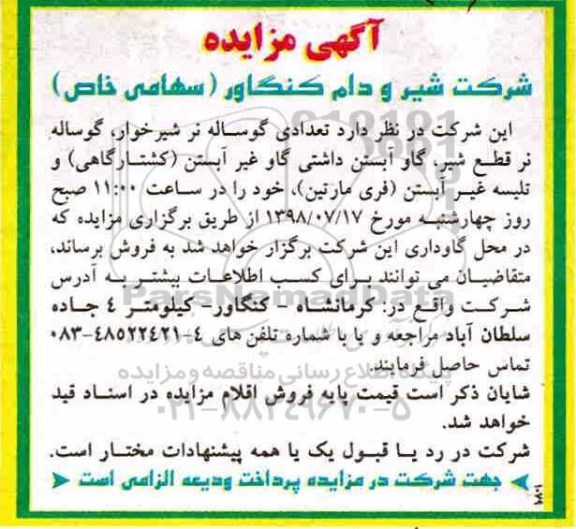 آگهی مزایده , مزایده تعدادی گوساله نر شیرخوار ، گوساله نر قطع شیر...