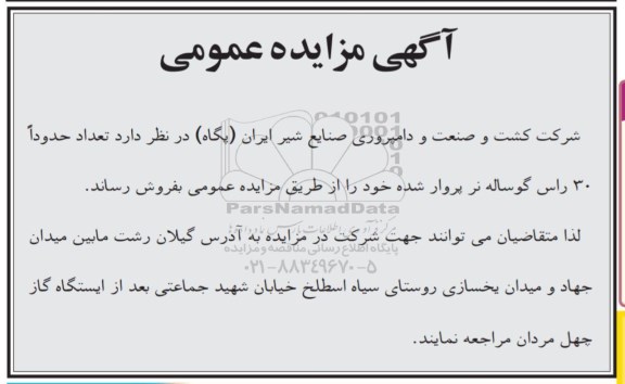 مزایده، مزایده فروش 30 راس گوسفند نر پروارشده