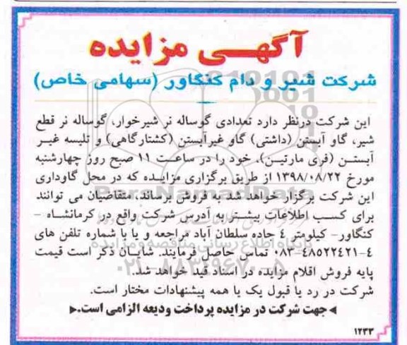 آگهی مزایده , مزایده تعدادی گوساله نر شیرخوار ، گوساله نر قطع شیر...