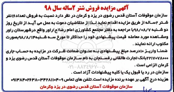 مزایده، مزایده فروش شتر 2 ساله 