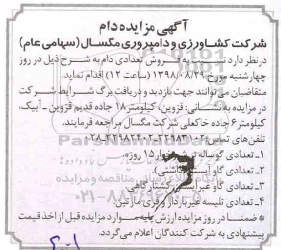 آگهی مزایده, مزایده دام