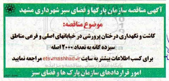 فراخوان مناقصه عمومی, مناقصه کاشت و نگهداری درختان پرورشی