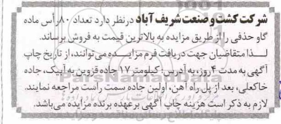 مزایده , مزایده تعداد 80 راس ماده گاو حذفی