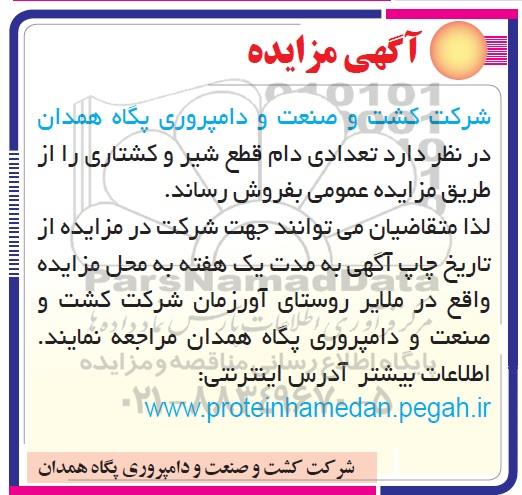 آگهی مزایده , مزایده تعدادی دام قطع شیر و کشتاری