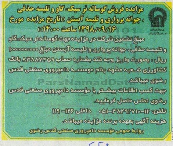 مزایده ,مزایده فروش گوساله نر سبک...