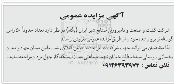 مزایده، مزایده فروش 50 راس گوسفند نر پروارشده